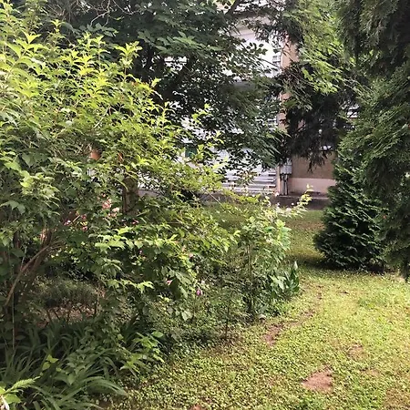 Szieszta Szofia 哈卡尼